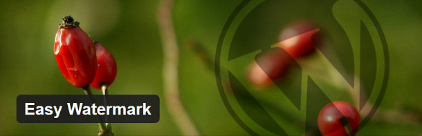 Easy Watermark