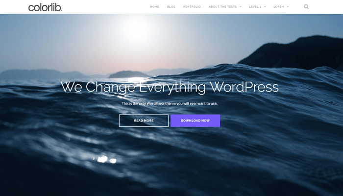 Shapely WordPress Thema
