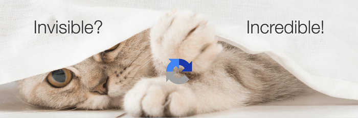 Invisible reCaptcha for WordPress