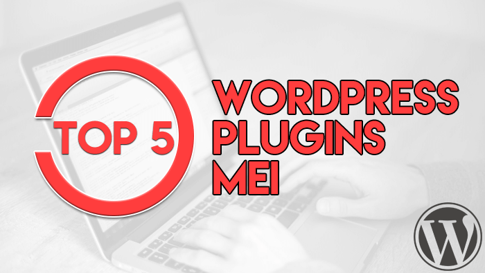 Top 5 WordPress Plugins Mei