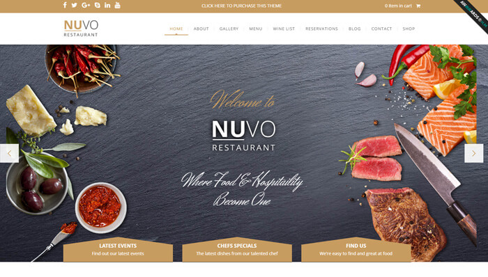 NUVO WordPress Thema