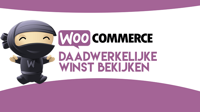 Daadwerkelijke winst bekjiken in WooCommerce